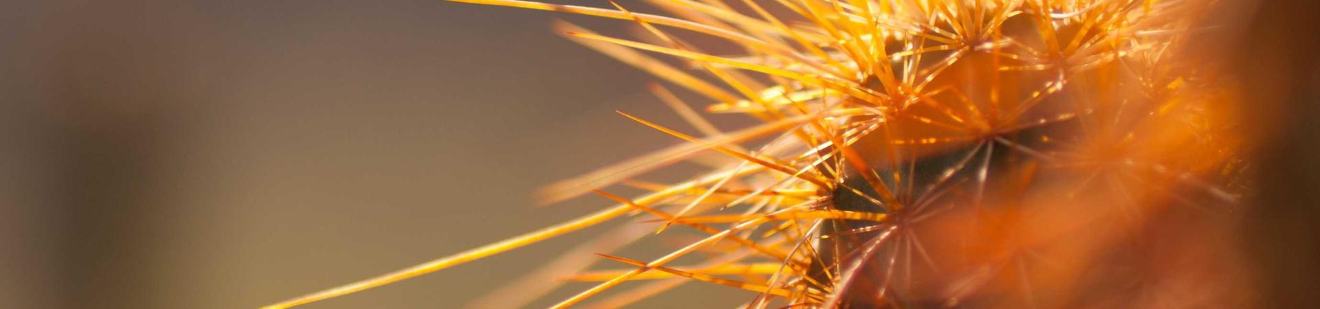衡水柏舟建筑材料有限公司 &middot; 眉县分公司